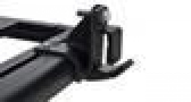 LocalID_2697 