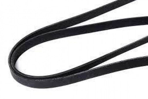 Belt Ribbed 4PK0785 - Port Kennedy Auto Parts & Batteries 