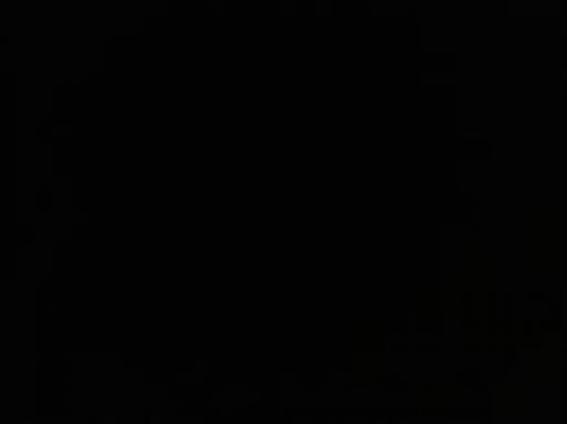 LocalID_1304 