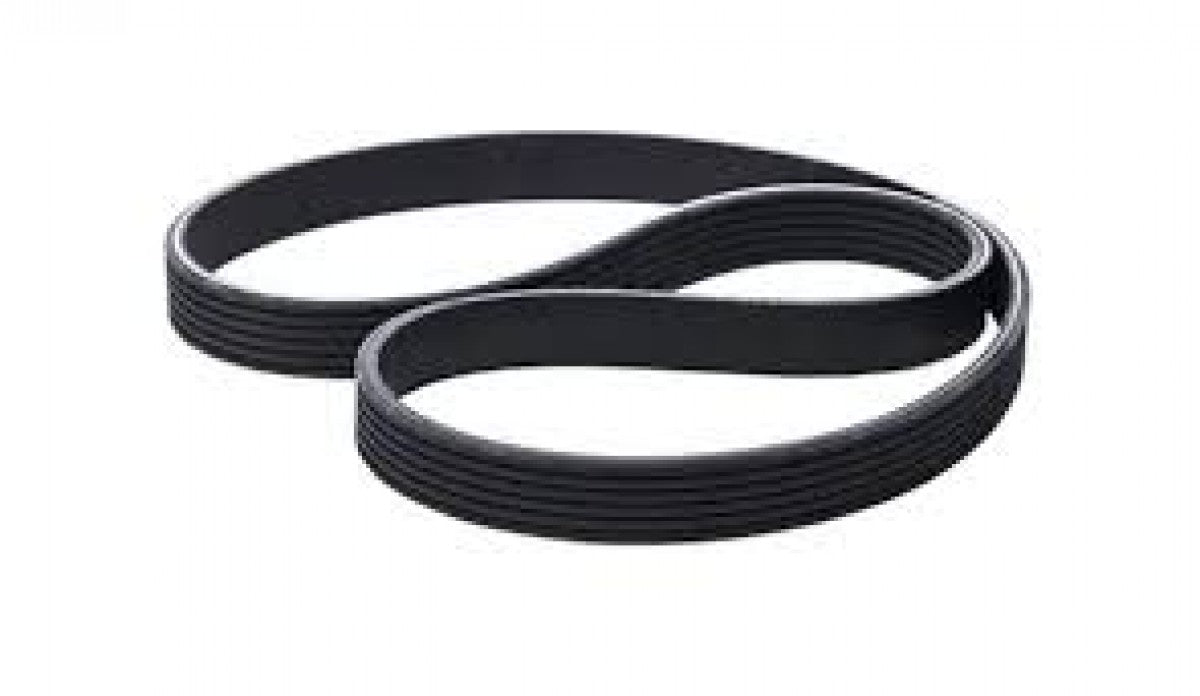 Belt Ribbed 6PK1690