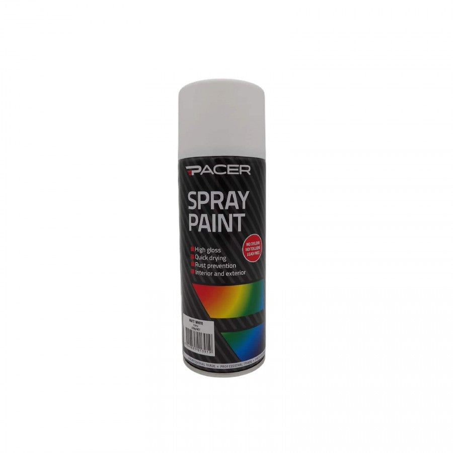 Enamel Paint