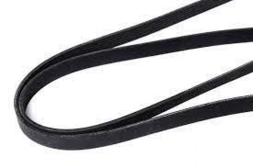 Belt Ribbed Dayco 6PK2815 - Port Kennedy Auto Parts & Batteries 