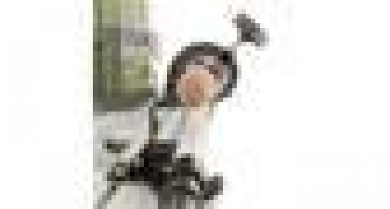 LocalID_2691 