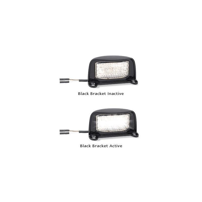 LED Licence Plate Lamp 35BLM - Port Kennedy Auto Parts & Batteries 